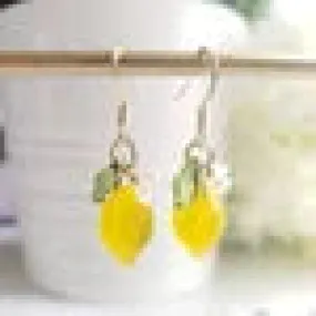 FOOD EARRINGS