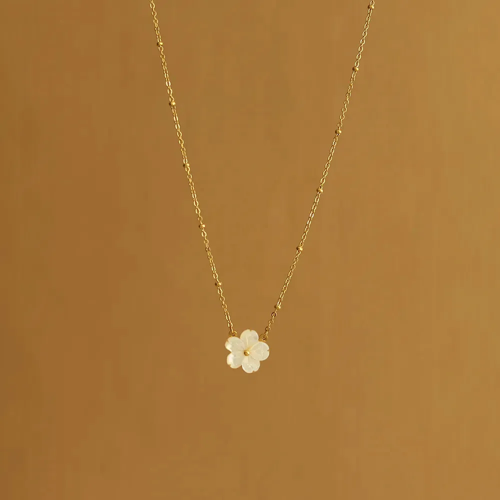 Midas Shell Necklace